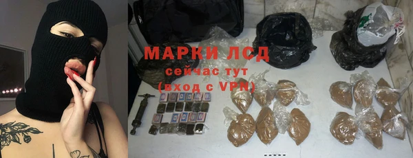 крисы Алзамай
