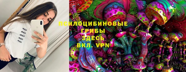 крисы Алзамай