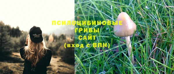 крисы Алзамай