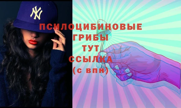 крисы Алзамай