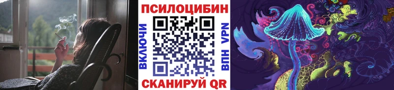 купить наркотики цена  ссылка на мегу как зайти  Псилоцибиновые грибы Psilocybe  Мичуринск 